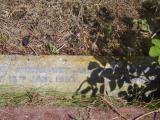 image of grave number 954064